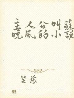 主人公叫苏文陆晚风的小说