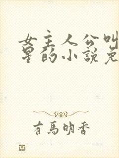 女主人公叫乔如星的小说免费阅读