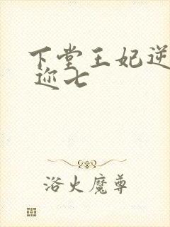 下堂王妃逆袭记 迩七