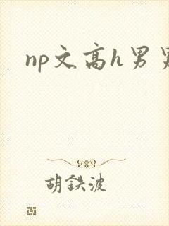 np文高h男男