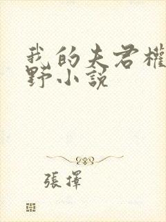 我的夫君权倾朝野小说