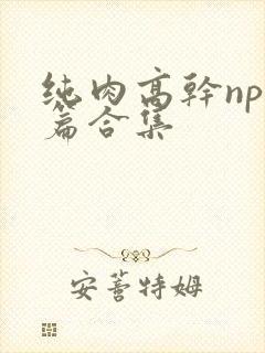 纯肉高干np短篇合集