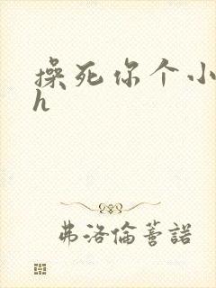 操死你个小骚货h