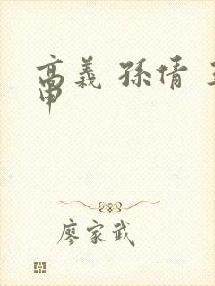 高义 孙倩 王申