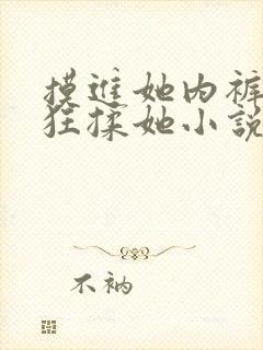 摸进她内裤里疯狂揉她小说视频