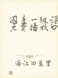 国产一级淫片a免费播放口