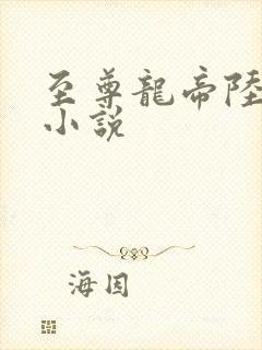 至尊龙帝陆鸣 小说