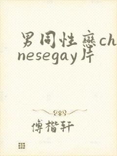 男同性恋chinesegay片封面