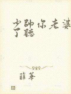 少帅你老婆又跑了听封面