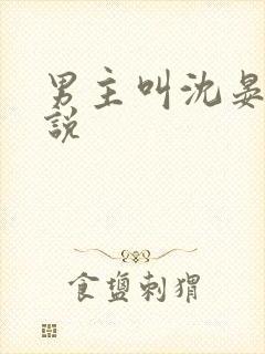 男主叫沈晏的小说
