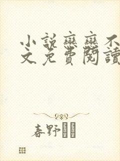 小说恋恋不忘全文免费阅读封面