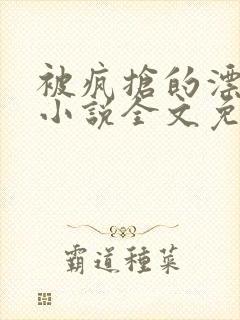 被疯抢的漂亮攻小说全文免费阅读无弹窗