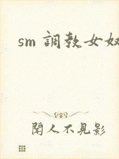 sm 调教女奴封面