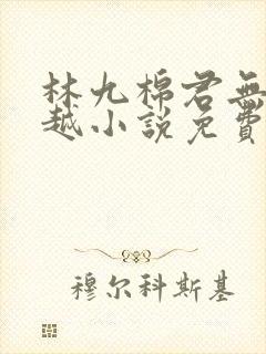 林九棉君无陌穿越小说免费阅读封面