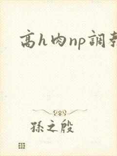 高h肉np调教