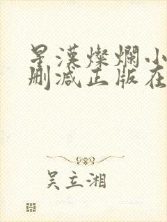 星汉灿烂小说无删减正版在线阅读