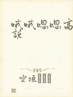 哦哦嗯嗯高潮小说