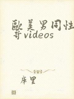 欧美男同性恋帅哥videos
