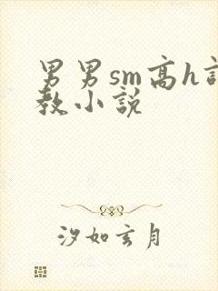 男男sm高h调教小说