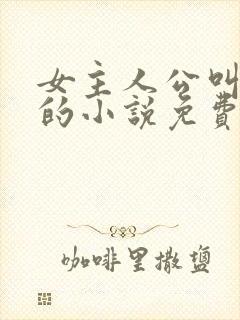 女主人公叫司恋的小说免费阅读
