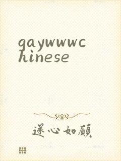 gaywwwchinese