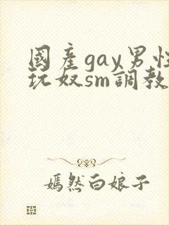 国产gay男性玩奴sm调教