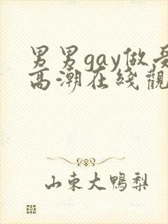 男男gay做受高潮在线观看