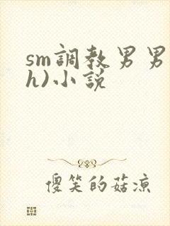 sm调教男男(h)小说