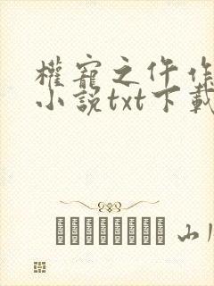 权宠之仵作医妃小说txt下载封面