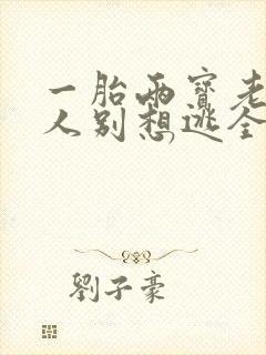 一胎两宝老婆大人别想逃全文免费阅读