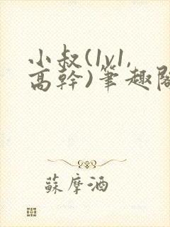 小叔(1v1,高干)笔趣阁小说封面