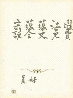 宋蕴蕴江曜景小说全文免费阅读