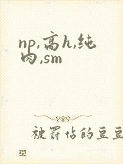np,高h,纯肉,sm