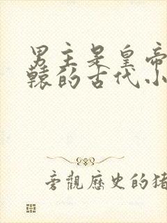 男主是皇帝姓轩辕的古代小说封面