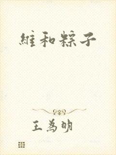 维和粽子