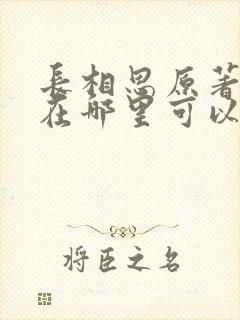 长相思原著小说在哪里可以看封面