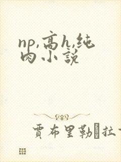 np,高h,纯肉小说封面