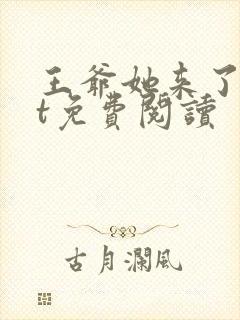 王爷她来了txt免费阅读