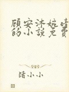 顾安沐婉晴主角的小说免费阅读