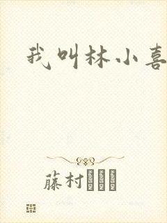 我叫林小喜17