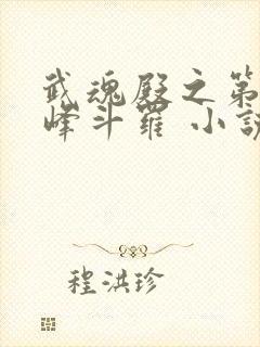 武魂殿之第一巅峰斗罗 小说封面