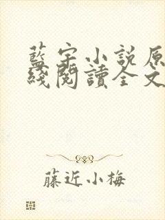 蓝宇小说原著在线阅读全文