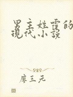 男主姓霍的总裁现代小说封面