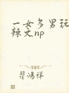 一女多男玩弄h辣文np
