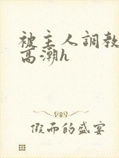 被主人调教当众高潮h