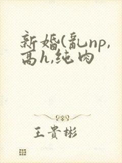 新婚(乱np,高h,纯肉封面