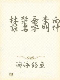 林楚乔李向南小说名字叫什么封面