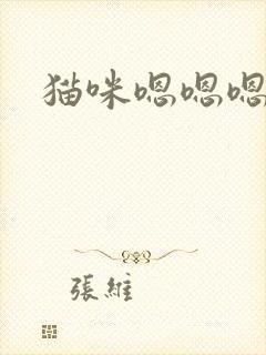 猫咪嗯嗯嗯
