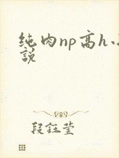 纯肉np高h小说封面