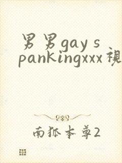 男男gay spankingxxx视频